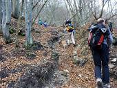 15 Ci inoltriamo ancora nel bosco